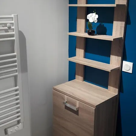 Presqu Ile De Giens Maison T3 Avec Jardin Et Climatisee Hyères