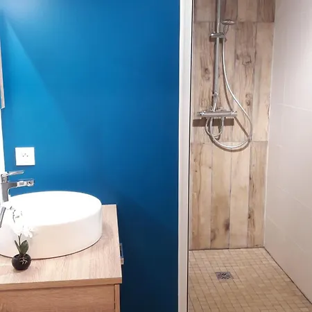 Presqu Ile De Giens Maison T3 Avec Jardin Et Climatisee Dom wakacyjny *
